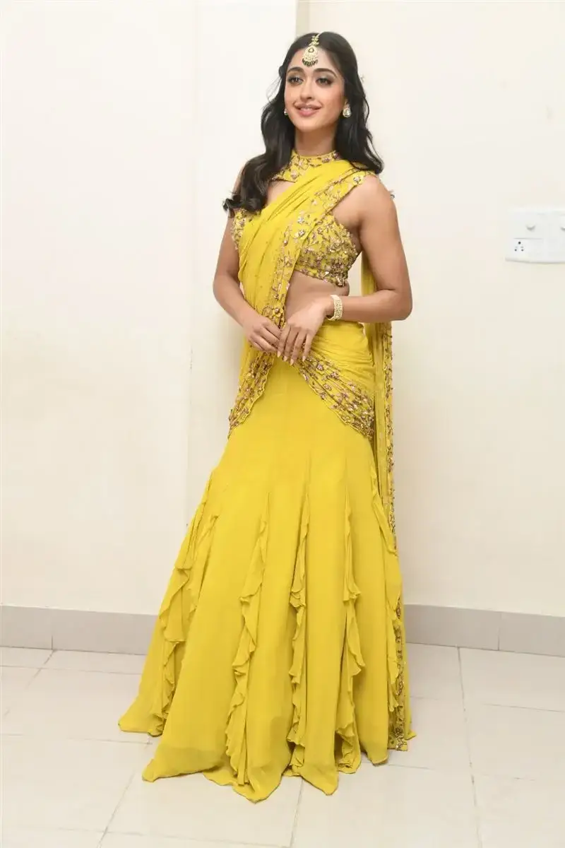 Actress Gayatri Bhardwaj Yellow Saree Tiger Nageswara Rao Movie